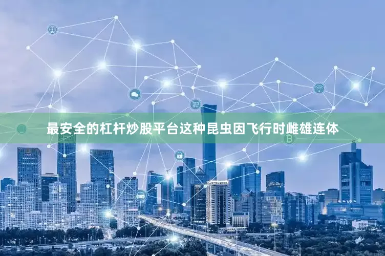 最安全的杠杆炒股平台这种昆虫因飞行时雌雄连体