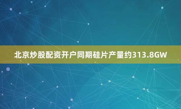 北京炒股配资开户同期硅片产量约313.8GW