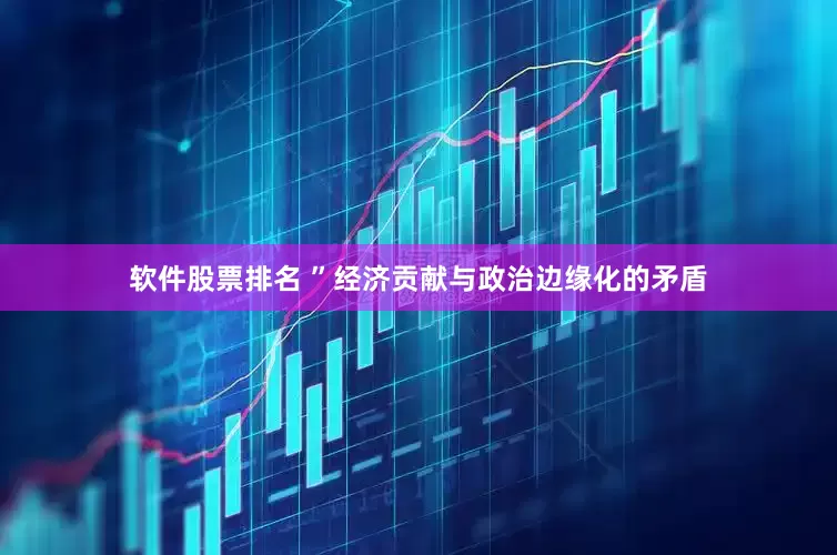 软件股票排名 ”经济贡献与政治边缘化的矛盾
