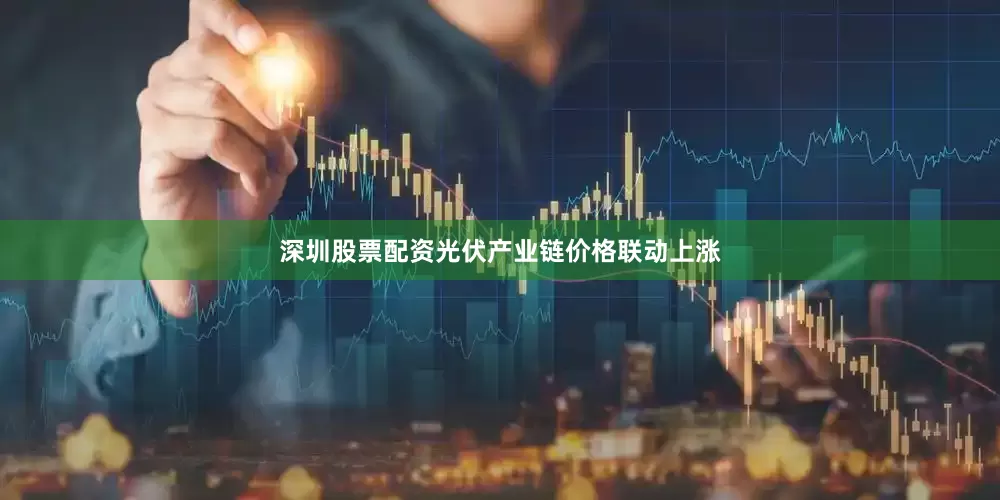 深圳股票配资光伏产业链价格联动上涨