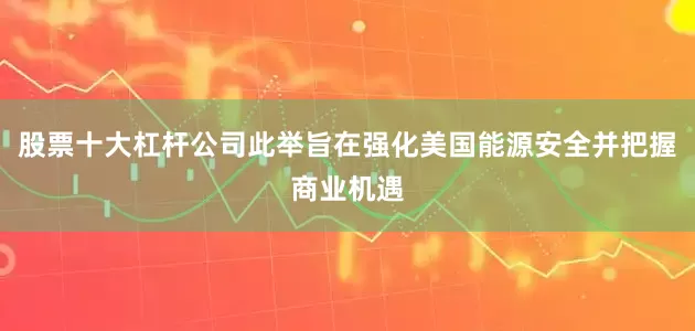 股票十大杠杆公司此举旨在强化美国能源安全并把握商业机遇